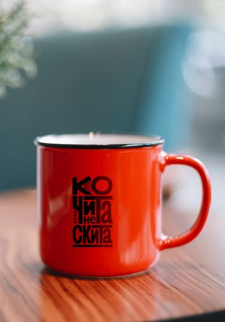 Ko čita ne skita